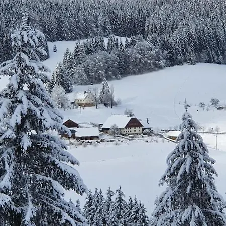 Schwarzwaldblick Apartmán