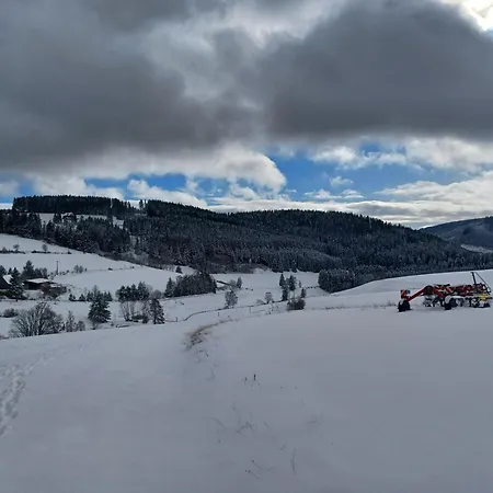 Apartment Schwarzwaldblick Titisee-Neustadt