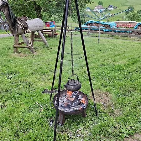 Schwarzwaldblick