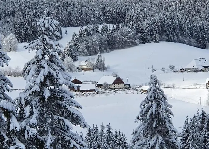 Schwarzwaldblick Apartman