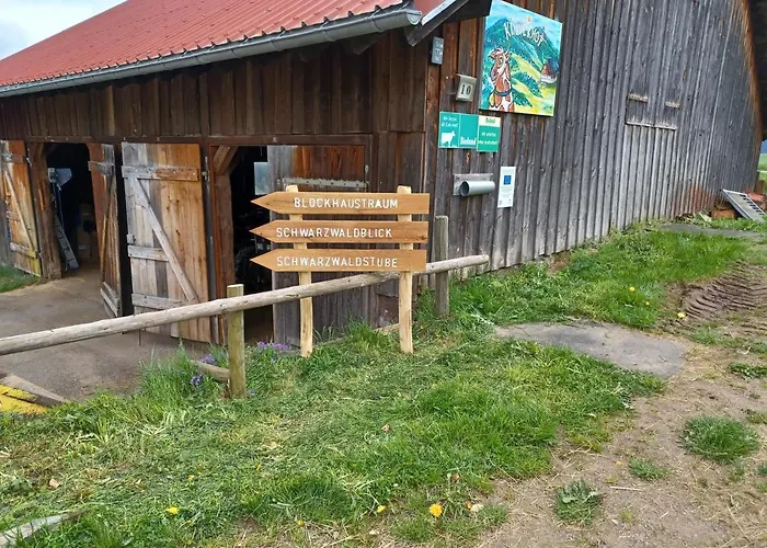 Schwarzwaldblick Titisee-Neustadt