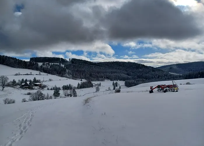 Διαμέρισμα Schwarzwaldblick Titisee-Neustadt