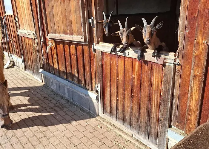 Apartman Schwarzwaldblick Titisee-Neustadt